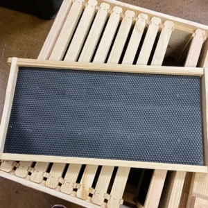 Deep Hive Box Kit with Frames